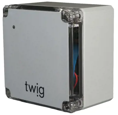 Twig Beacon